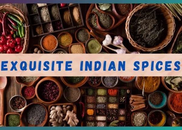 Exquisite Indian Spices