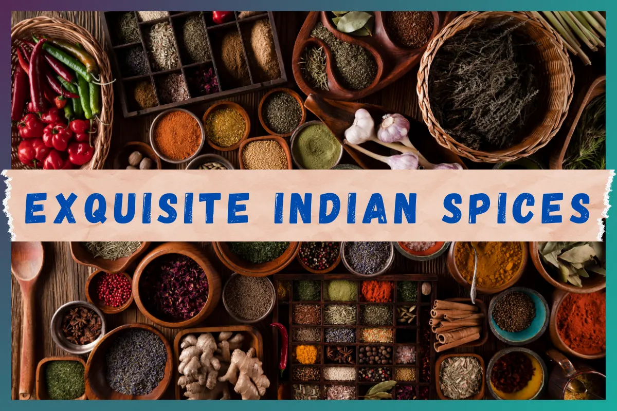 Exquisite Indian Spices