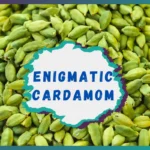 Enigmatic Cardamom in Your Daily Diet