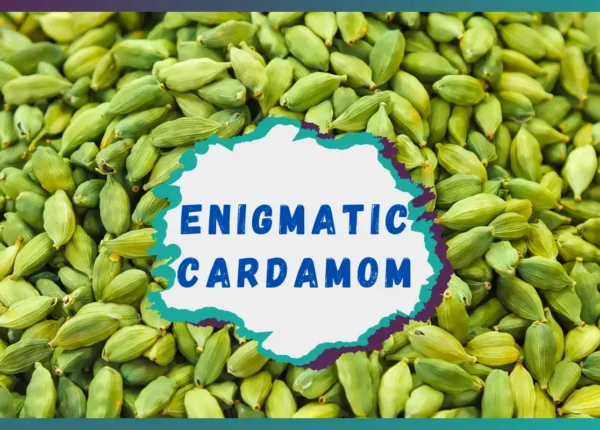 Enigmatic Cardamom in Your Daily Diet