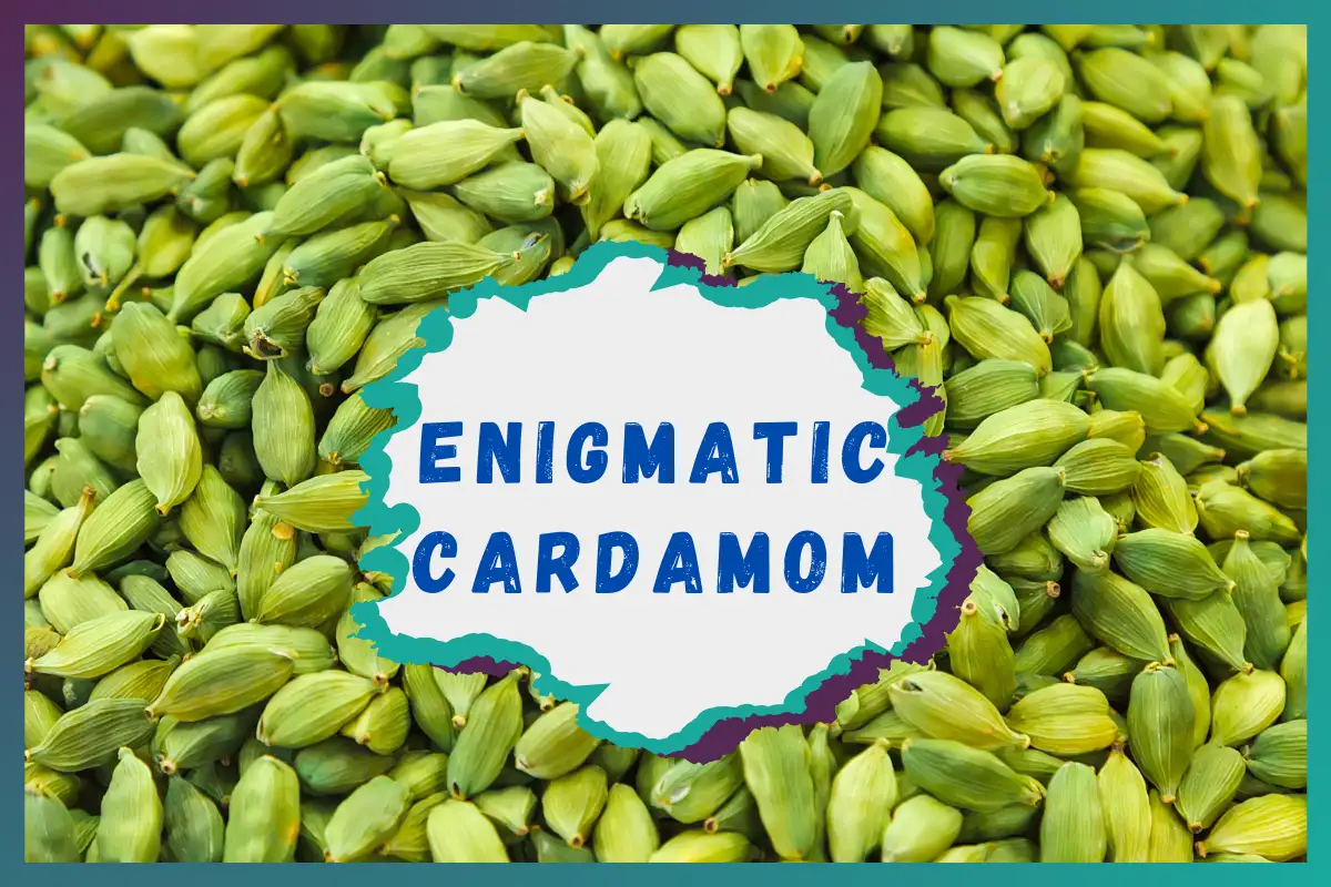 Enigmatic Cardamom in Your Daily Diet