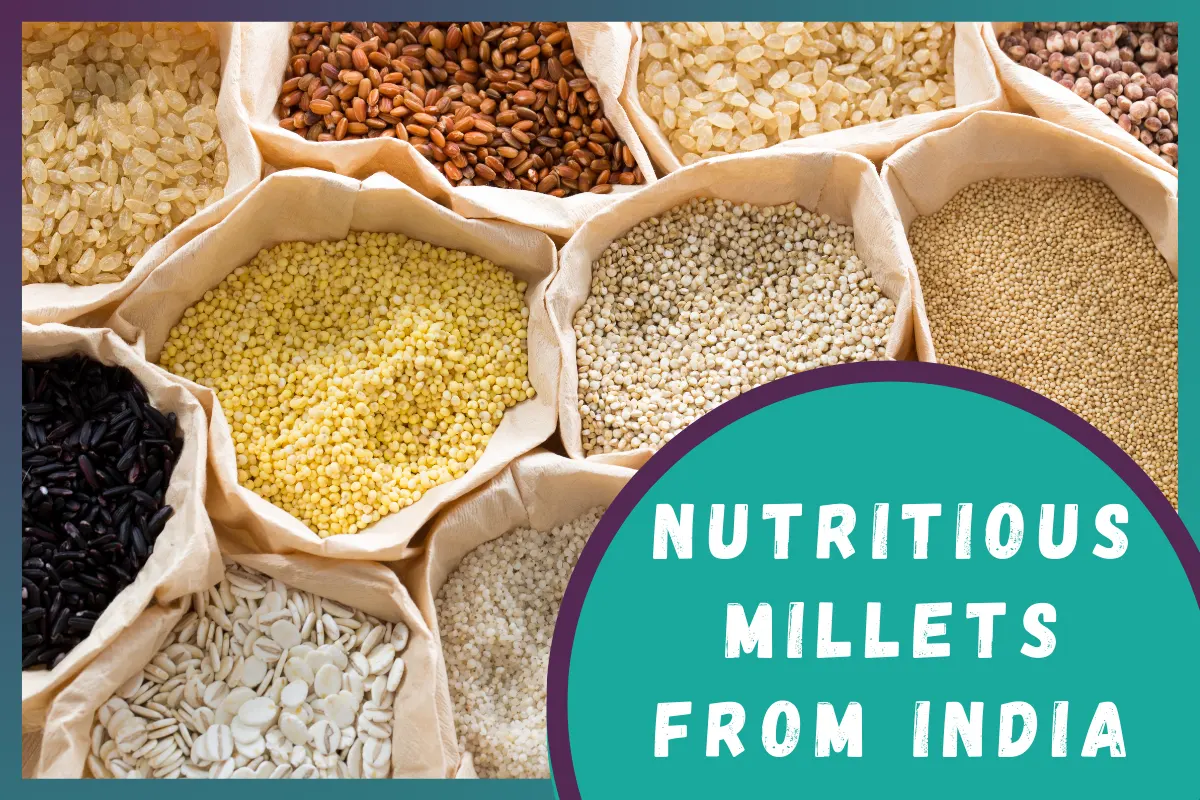 Nutritious Millets Export from India