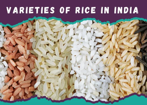 Varieties of Rice Export From India