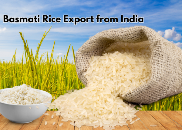 Basmati Rice Export from India
