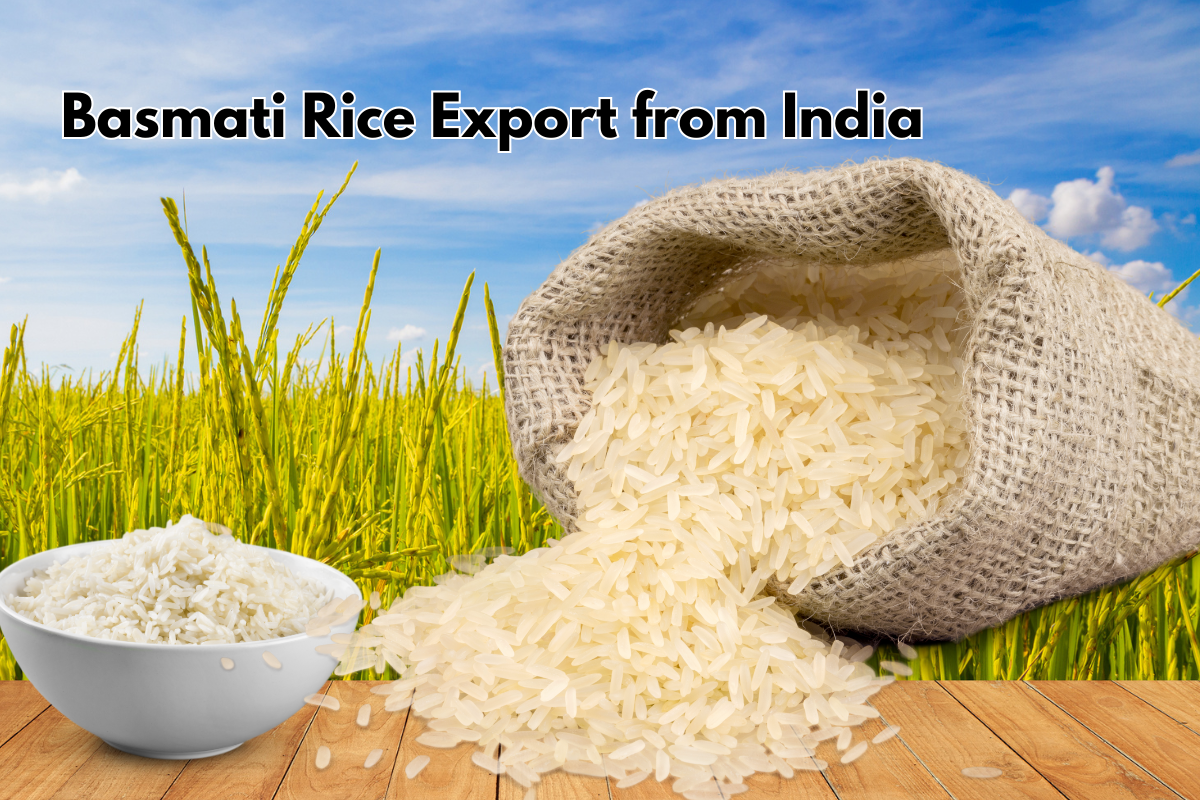 Basmati Rice Export from India
