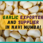 Garlic Exporter and Supplier in Navi Mumbai
