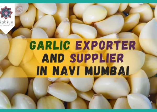 Garlic Exporter and Supplier in Navi Mumbai
