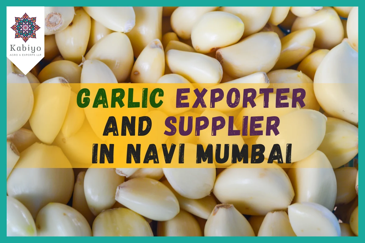 Garlic Exporter and Supplier in Navi Mumbai
