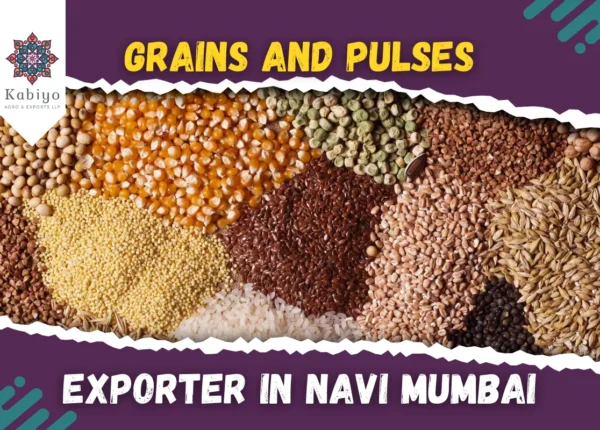 Grains and Pulses Exporter in Navi Mumbai