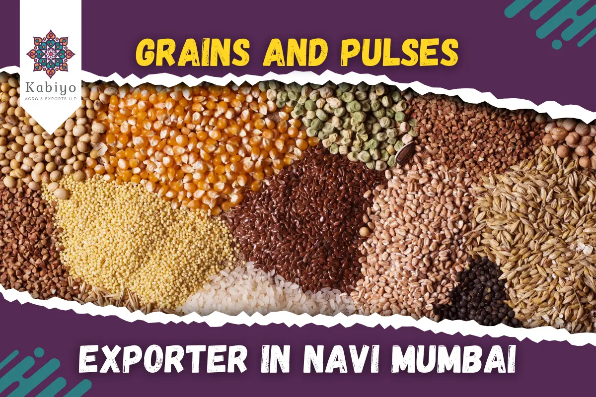 Grains and Pulses Exporter in Navi Mumbai