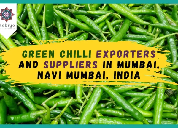 Green Chilli Exporters and Suppliers in Mumbai, Navi Mumbai, India