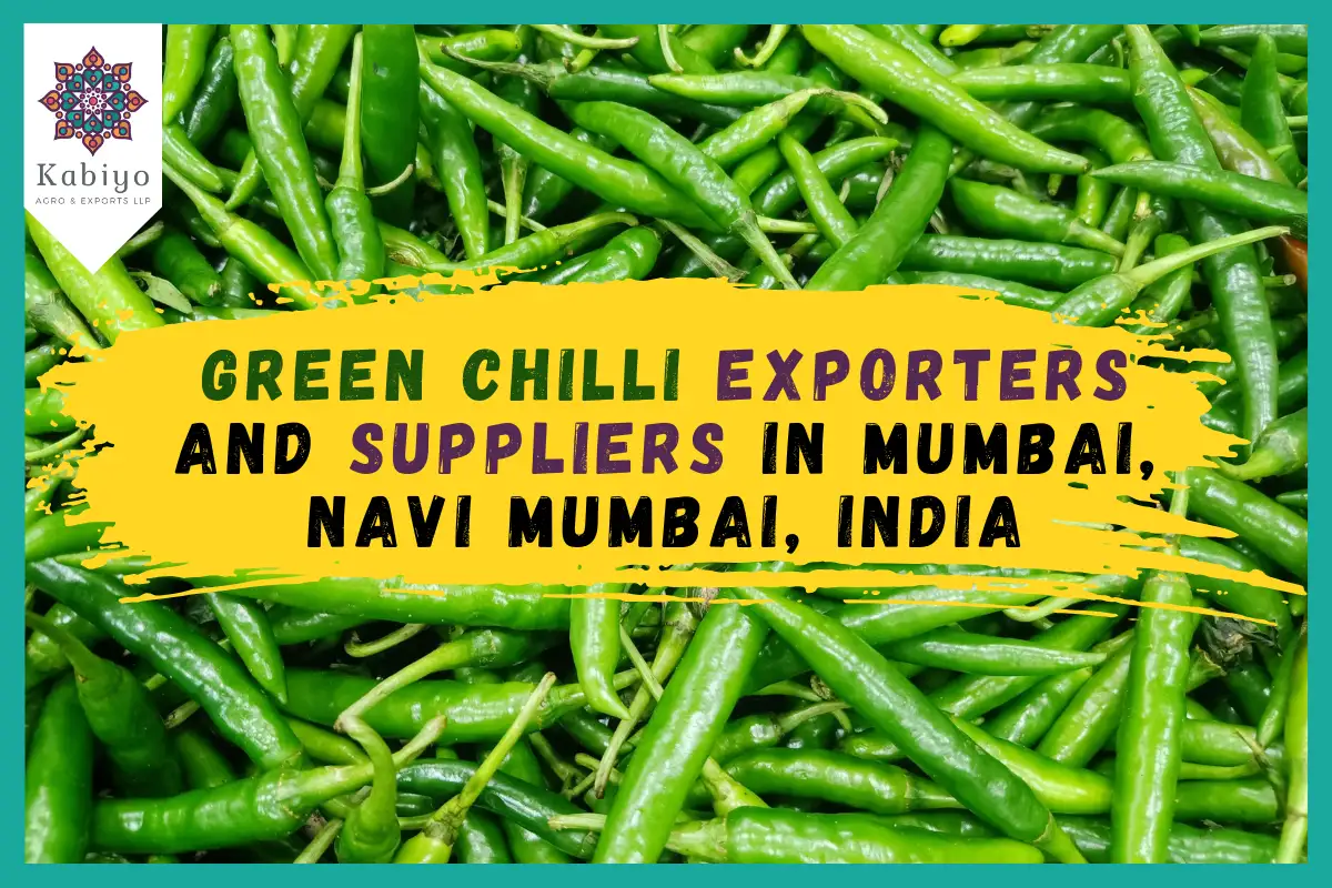 Green Chilli Exporters and Suppliers in Mumbai, Navi Mumbai, India