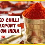 Red Chilli Exporter from Mumbai