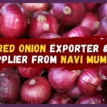 Red Onion Exporter and Supplier from Navi Mumbai