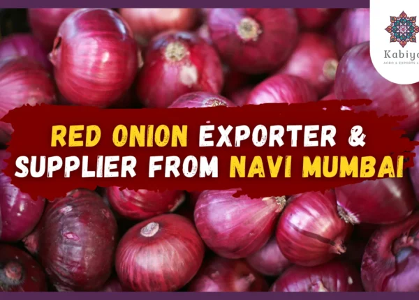 Red Onion Exporter and Supplier from Navi Mumbai