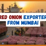 Red Onion Exporter from Mumbai