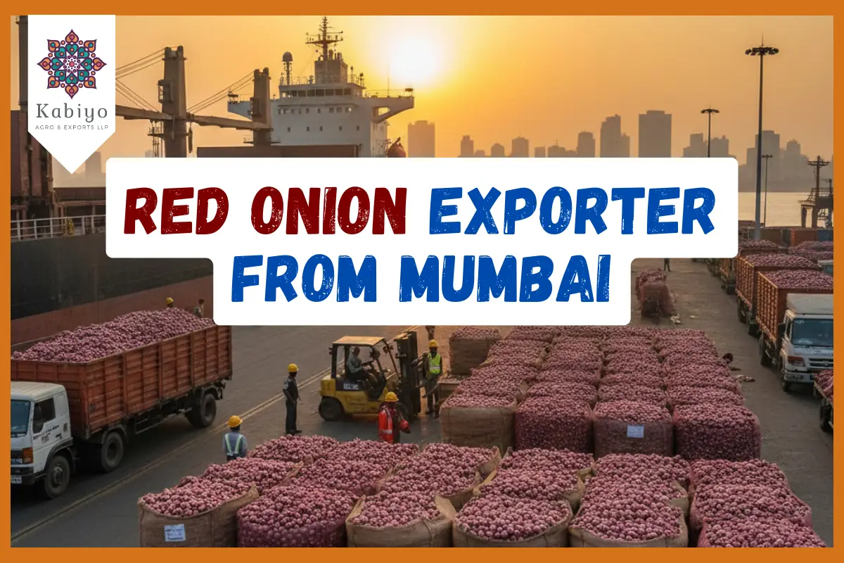 Red Onion Exporter from Mumbai