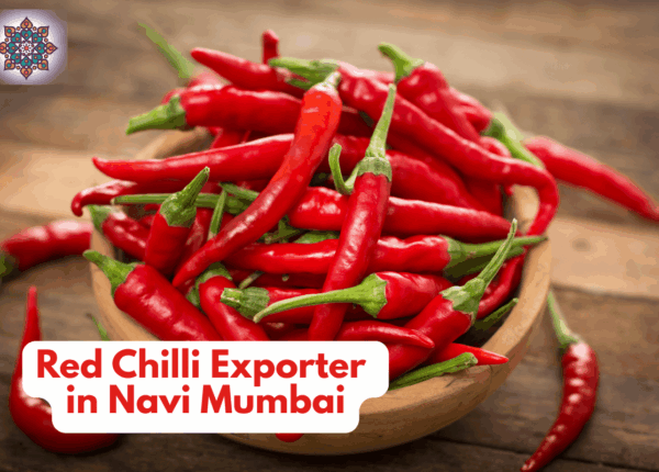 Red Chilli Exporter in Navi Mumbai: Kabiyo Exports Driving India’s Global Spice Trade
