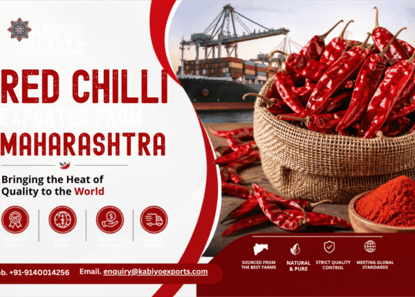 Red Chilli Exporter from Maharashtra – Kabiyo Exports Leading Global Spice Trade