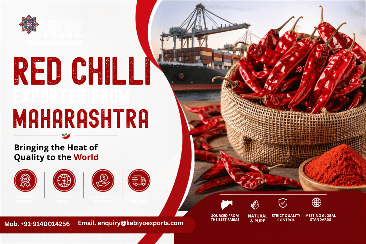 Red Chilli Exporter from Maharashtra – Kabiyo Exports Leading Global Spice Trade