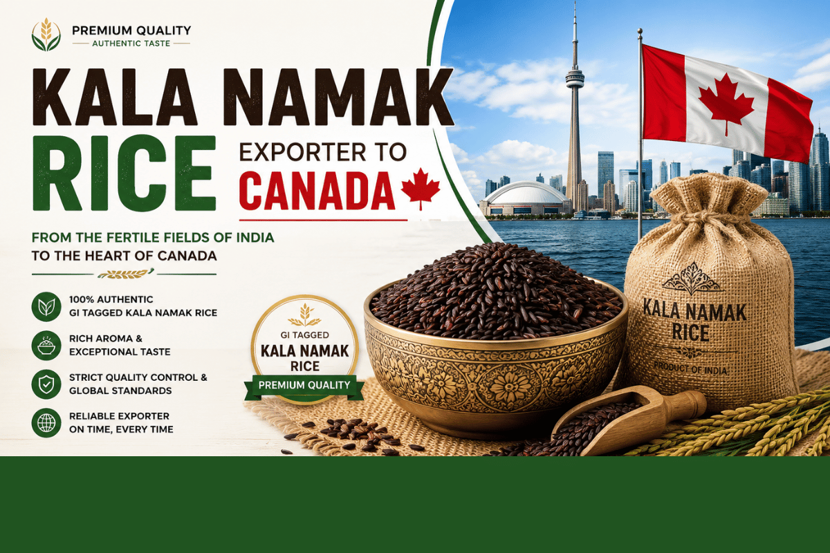 Kala Namak Rice Exporter to Canada